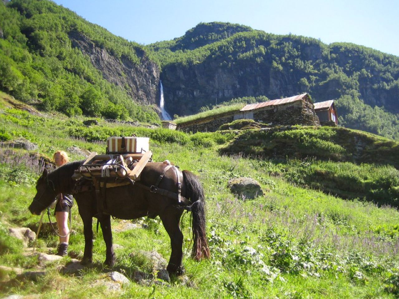 Kløving på Sinjarheim