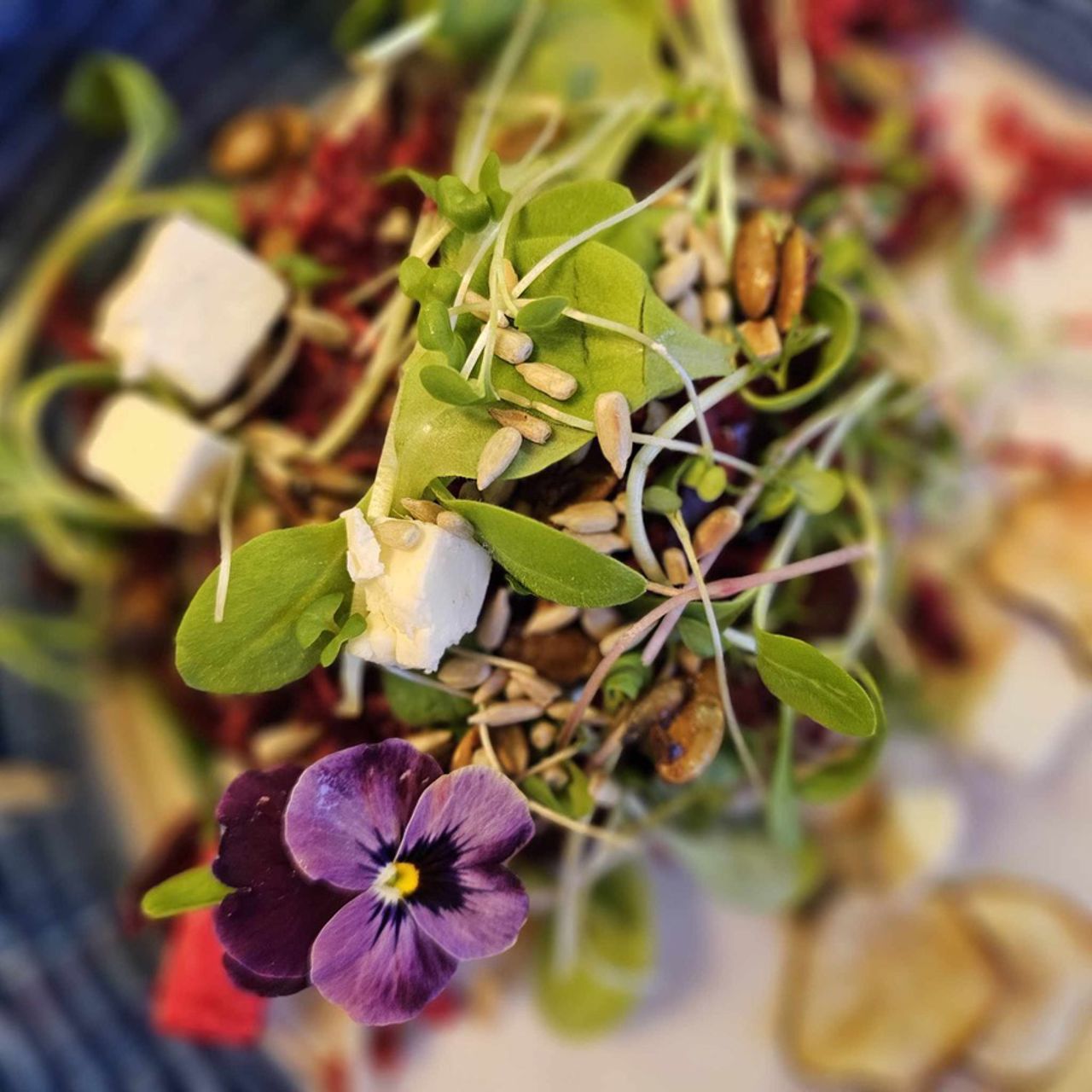 Salat