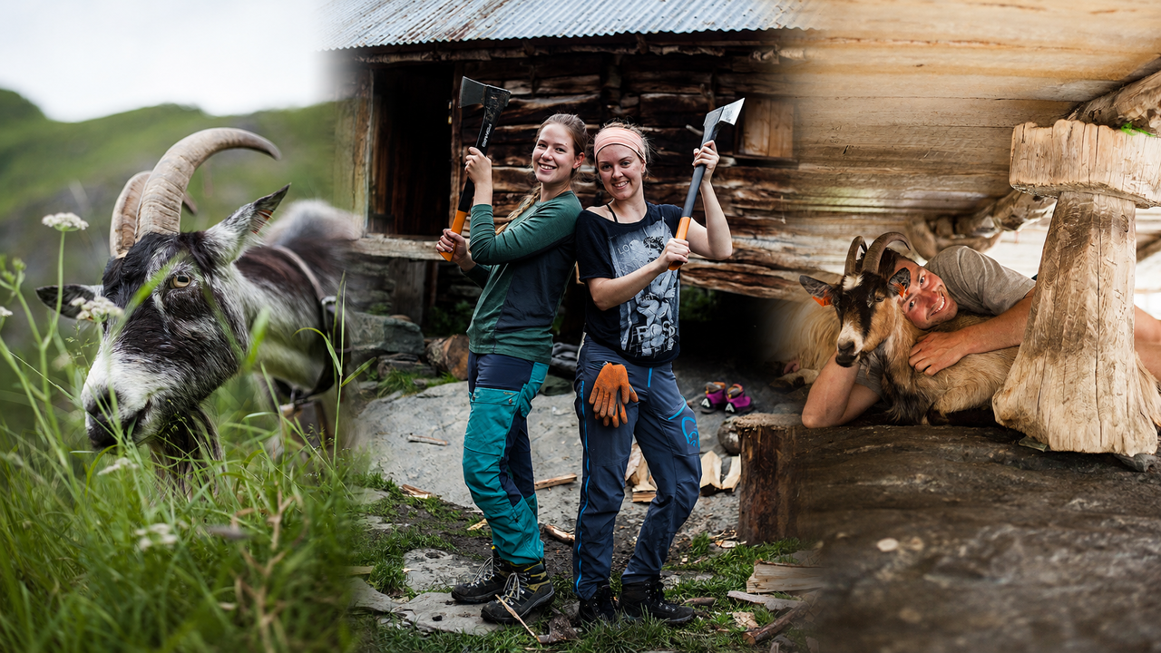 Geit, praktisk arbeid og gardsmiljø ved SJH, knytt til opptakskrav for Vg2 Naturbruk med tilsvarande kompetanse.
