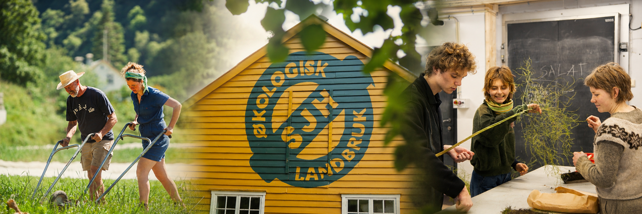 Montasje for Vg3 økologisk landbruk med praktisk engarbeid, skulelogo på gult bygg og undervisning om plantemateriale.