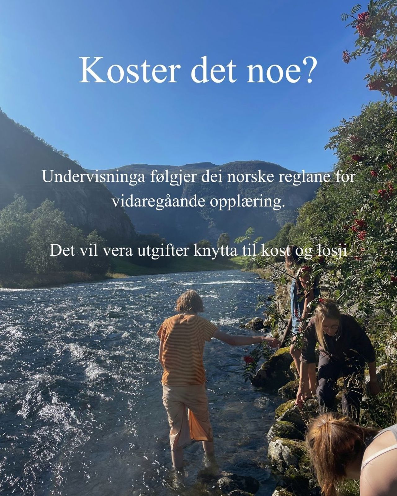 Elevar oppheld seg ved ei elv i naturen nær Sogn Jord- og Hagebruksskule.  Bildebeskrivelse:
