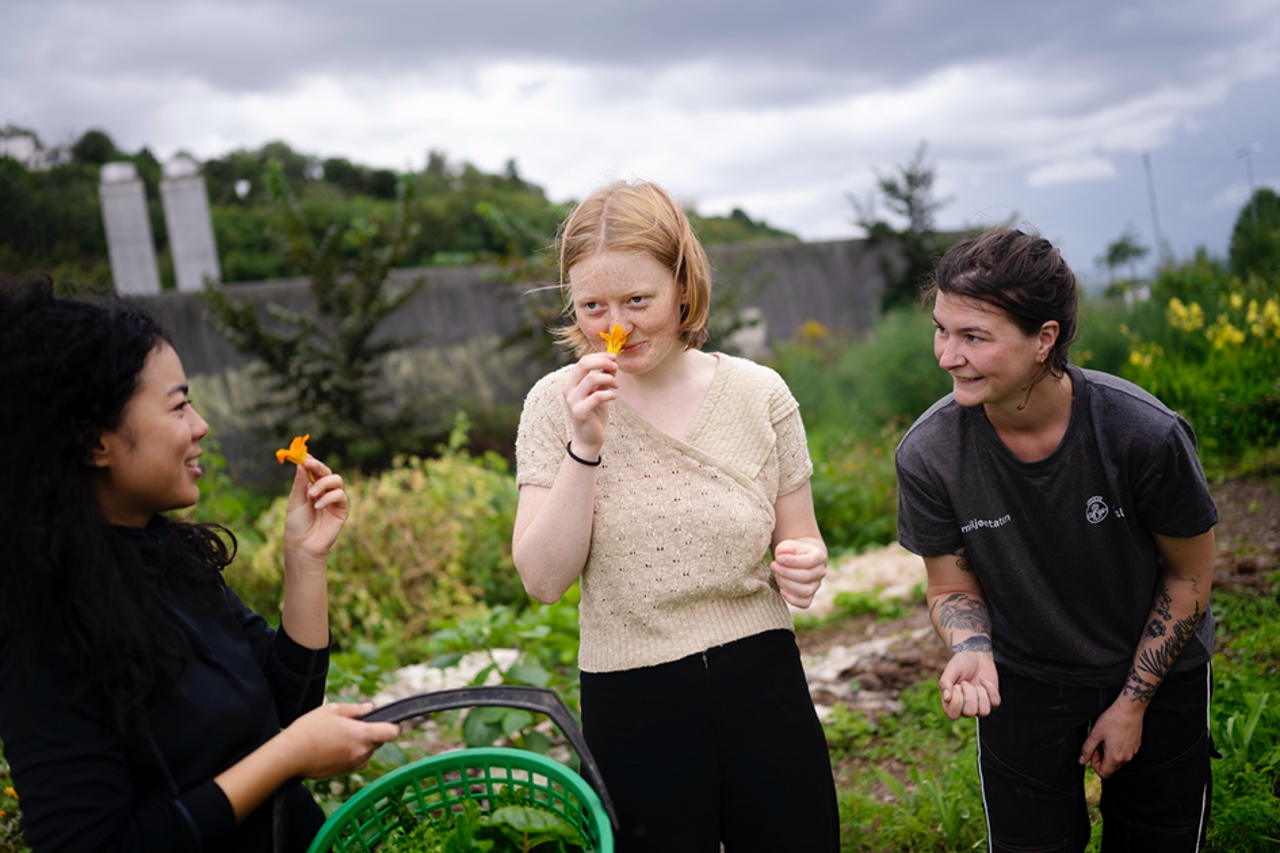 Tre unge kvinner i ein grønsakhage som luktar og smakar på spiselige blomar medan dei ler saman.