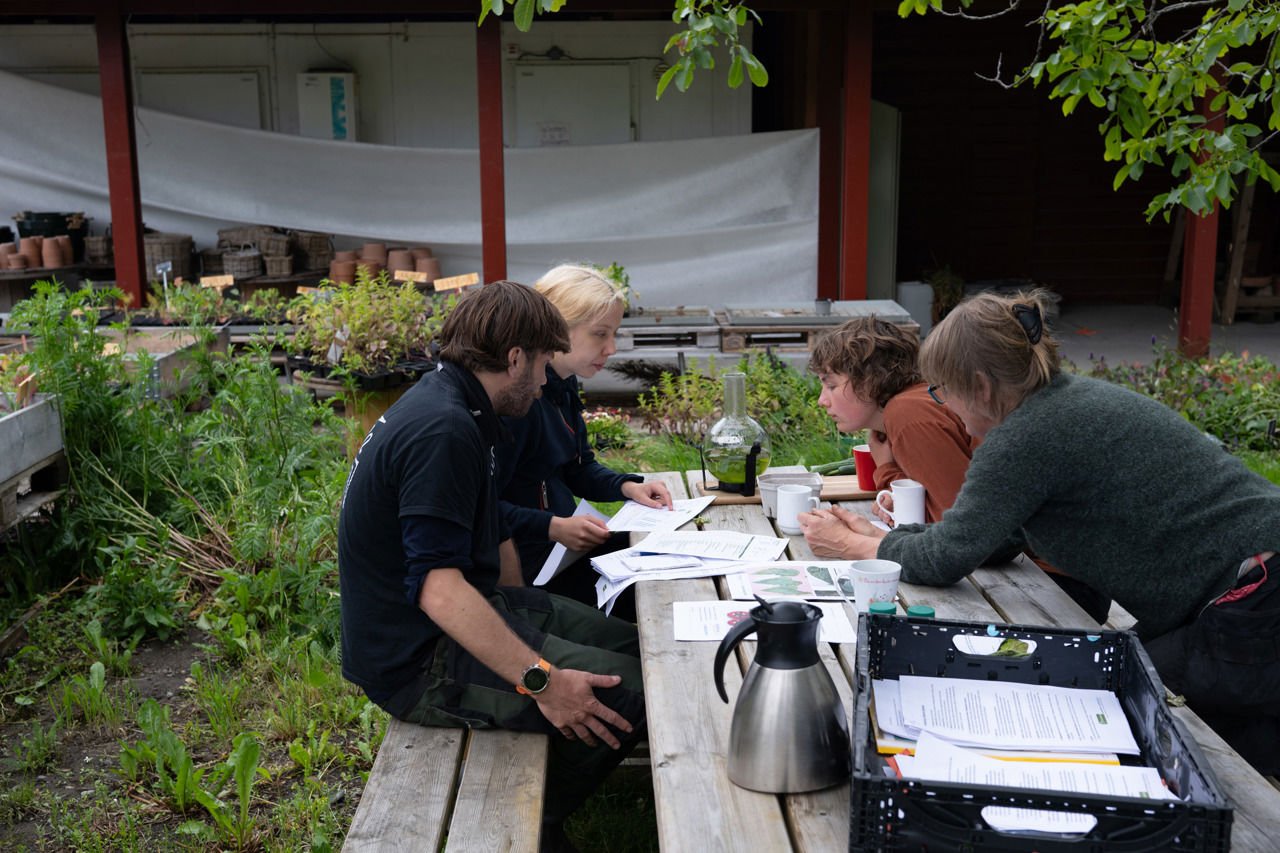 Lærar som underviser elevar på sommarkurset ved Sogn Jord- og Hagebruksskule i skulehagen.