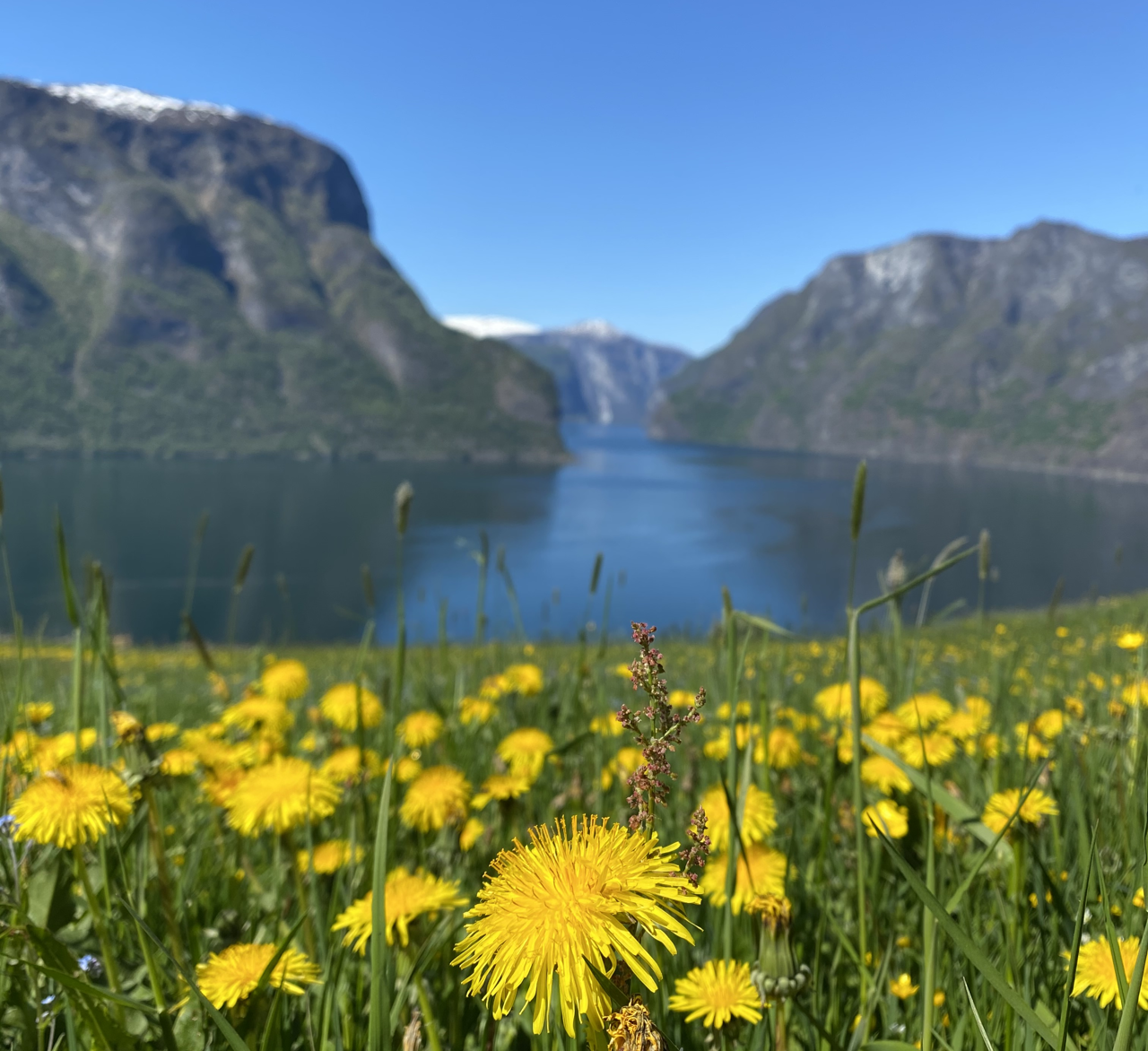 Sommar i Aurland