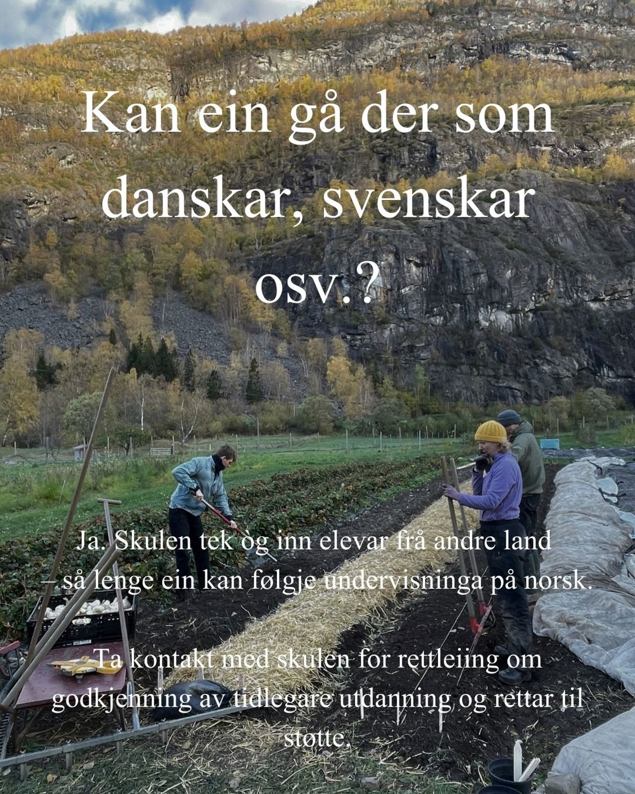 Elev med hest på beite ved Sogn Jord- og Hagebruksskule omgitt av fjellandskap.