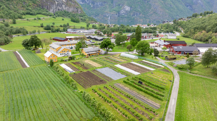 Oversiktsbilde av Sogn Jord- og Hagebruksskule