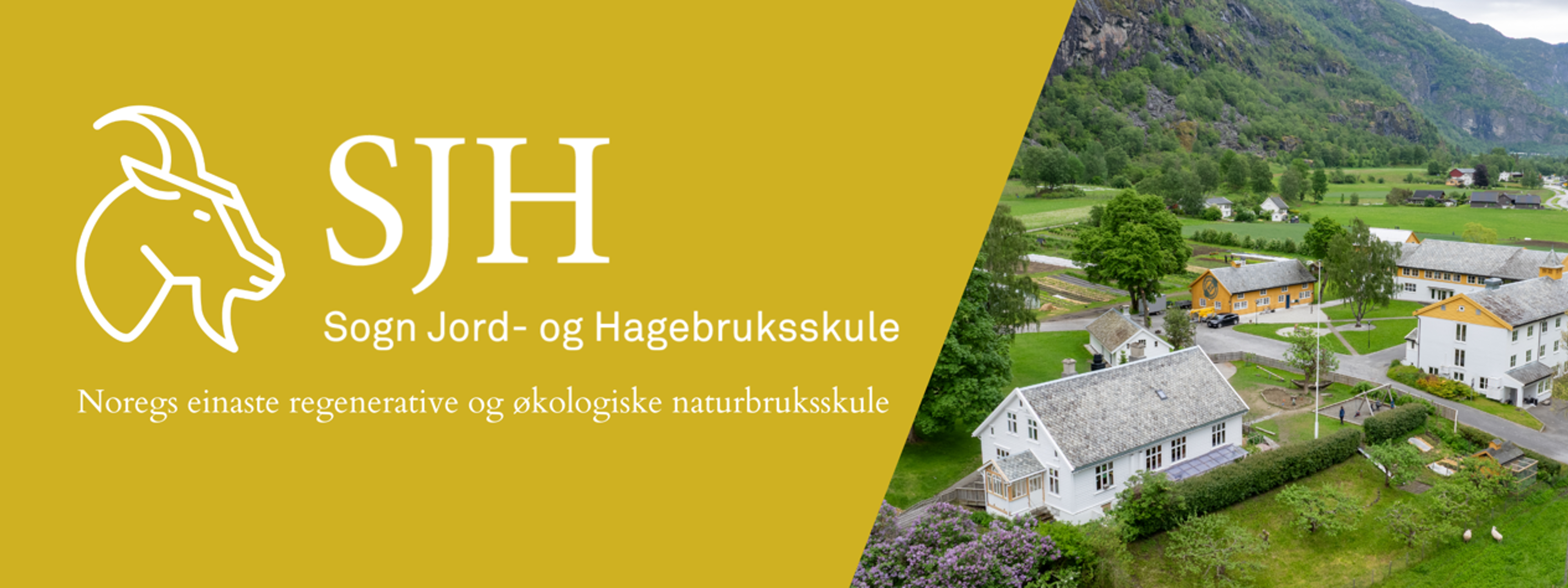 Banner for SJH – Sogn Jord- og Hagebruksskule, med logo av eit dyrehovud til venstre og tekst som framhevar skulen som Noregs einaste regenerative og økologiske naturbruksskule. Til høgre eit flyfoto av skuleområdet i landlege omgjevnader med bygningar, hageområde og grøne fjell i bakgrunnen.