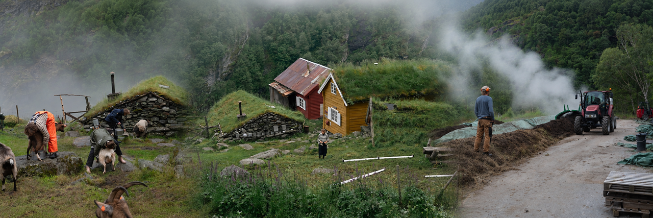 Panoramamontasje av en fjellgård i tåke med geitemelking til venstre, tradisjonelle stølsbygninger med torvtak i midten og kompostarbeid med traktor til høyre.