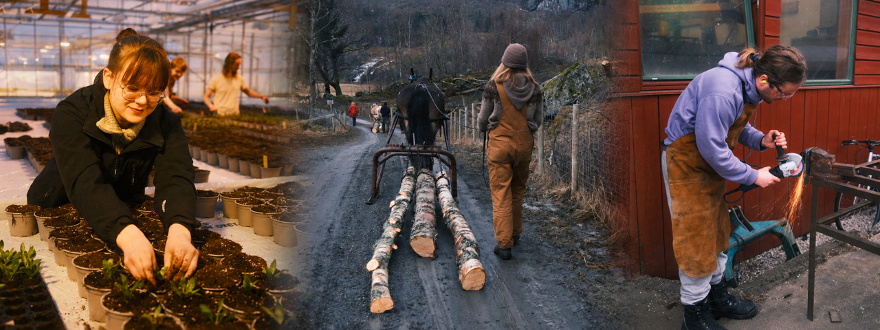 Elevar i yrkesfagleg fordjuping arbeider praktisk med hagebruk, arbeidshest og maskin ved SJH.