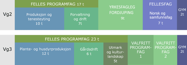 Oversikt over timefordeling i Vg2 og Vg3 ved agronomutdanninga, med felles programfag, yrkesfagleg fordjuping og fellesfag vist i farga felt med tal timar per fagområde.