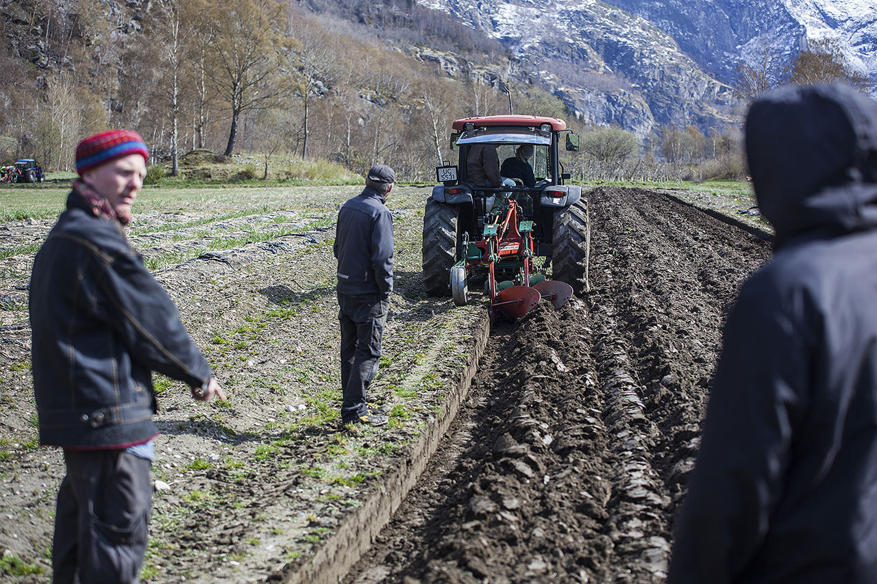 Praktisk jordarbeiding og pløying på åker i VG2-opplæringa ved Sogn Jord- og Hagebruksskule.