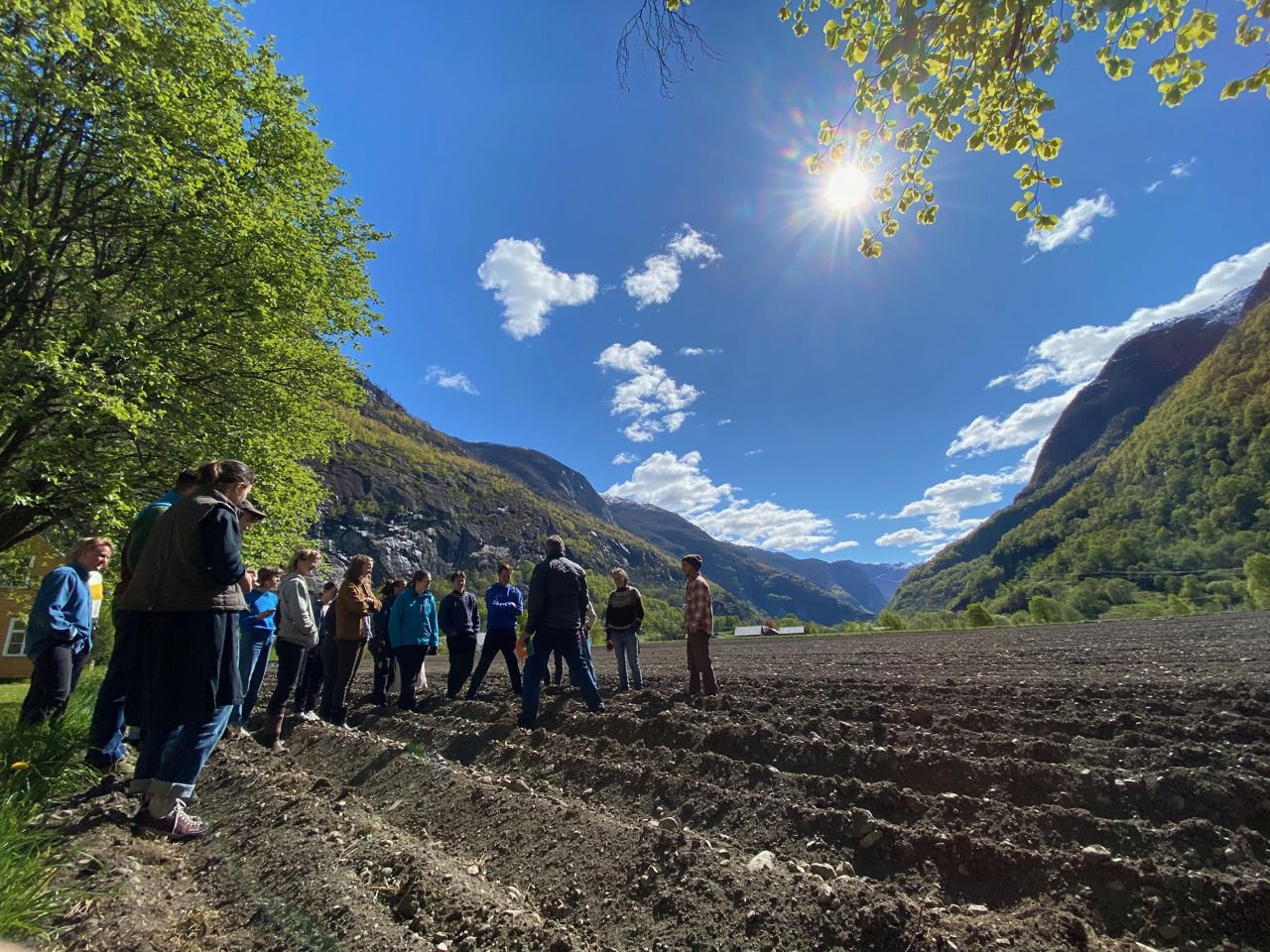 Elevar og lærarar i praktisk undervisning ute på jordet ved Sogn Jord- og Hagebruksskule i Aurland.