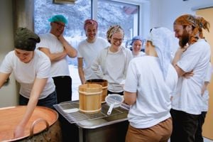 Kursdeltakarar deltek i gamalostkoking og ysting under praktisk kurs i mjølkeforedling ved Sogn Jord- og Hagebruksskule.