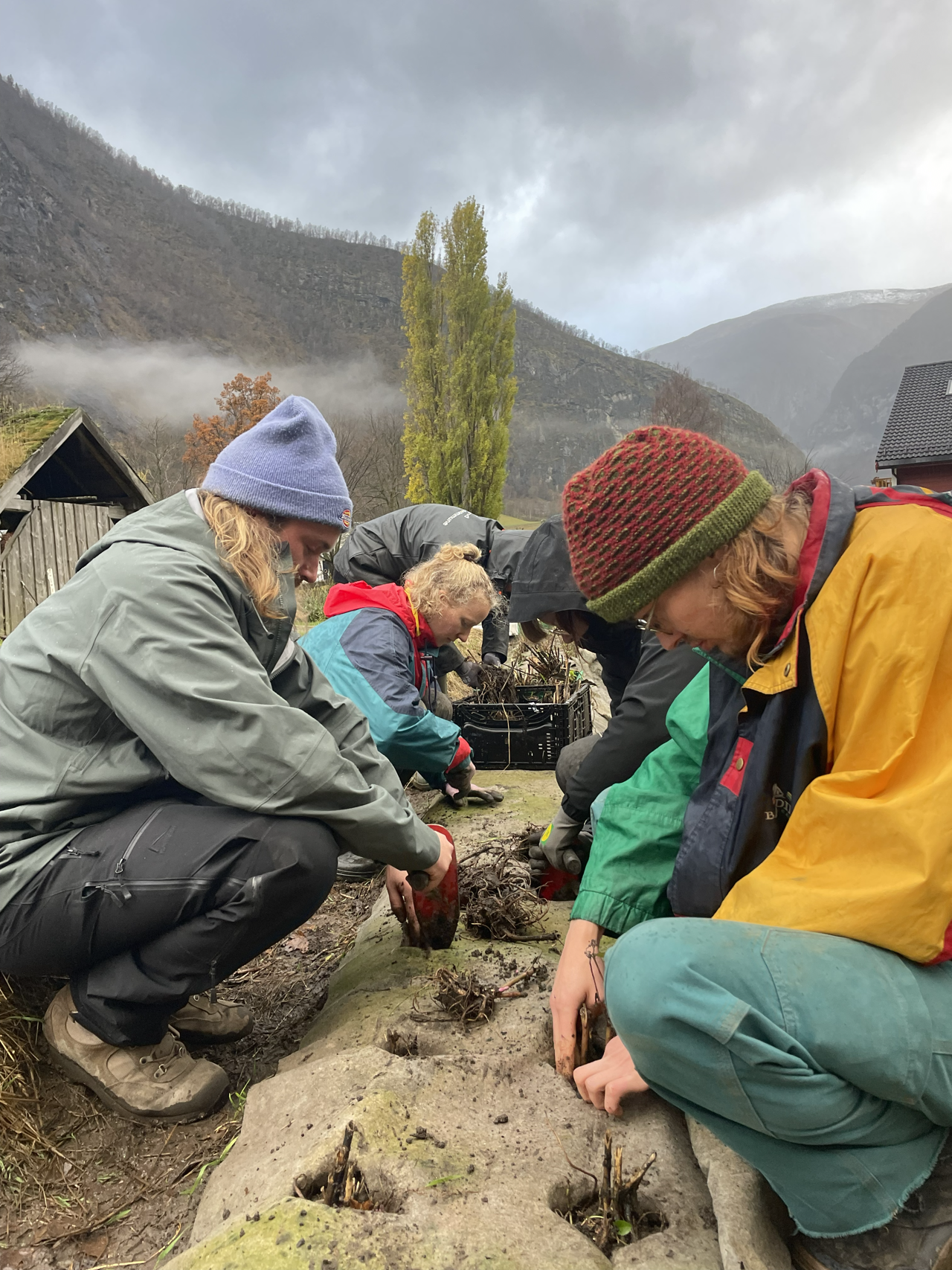 Elevar på Vg2 naturbruk plantar og steller vekstar ute på skulegarden som del av praktisk undervisning i økologisk dyrking.