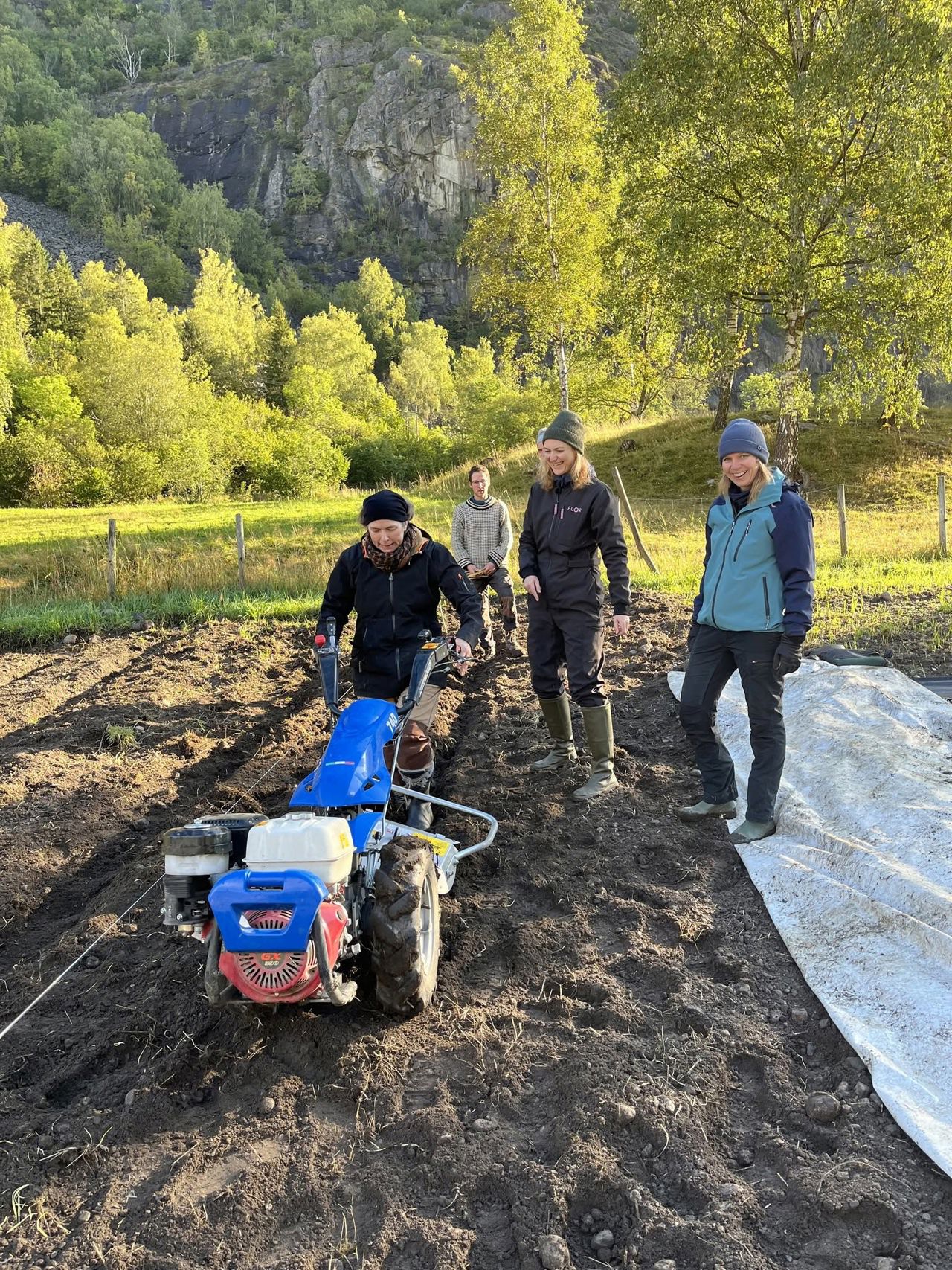 Jordarbeid for etablering av blomstereng i dyrkingslandskapet