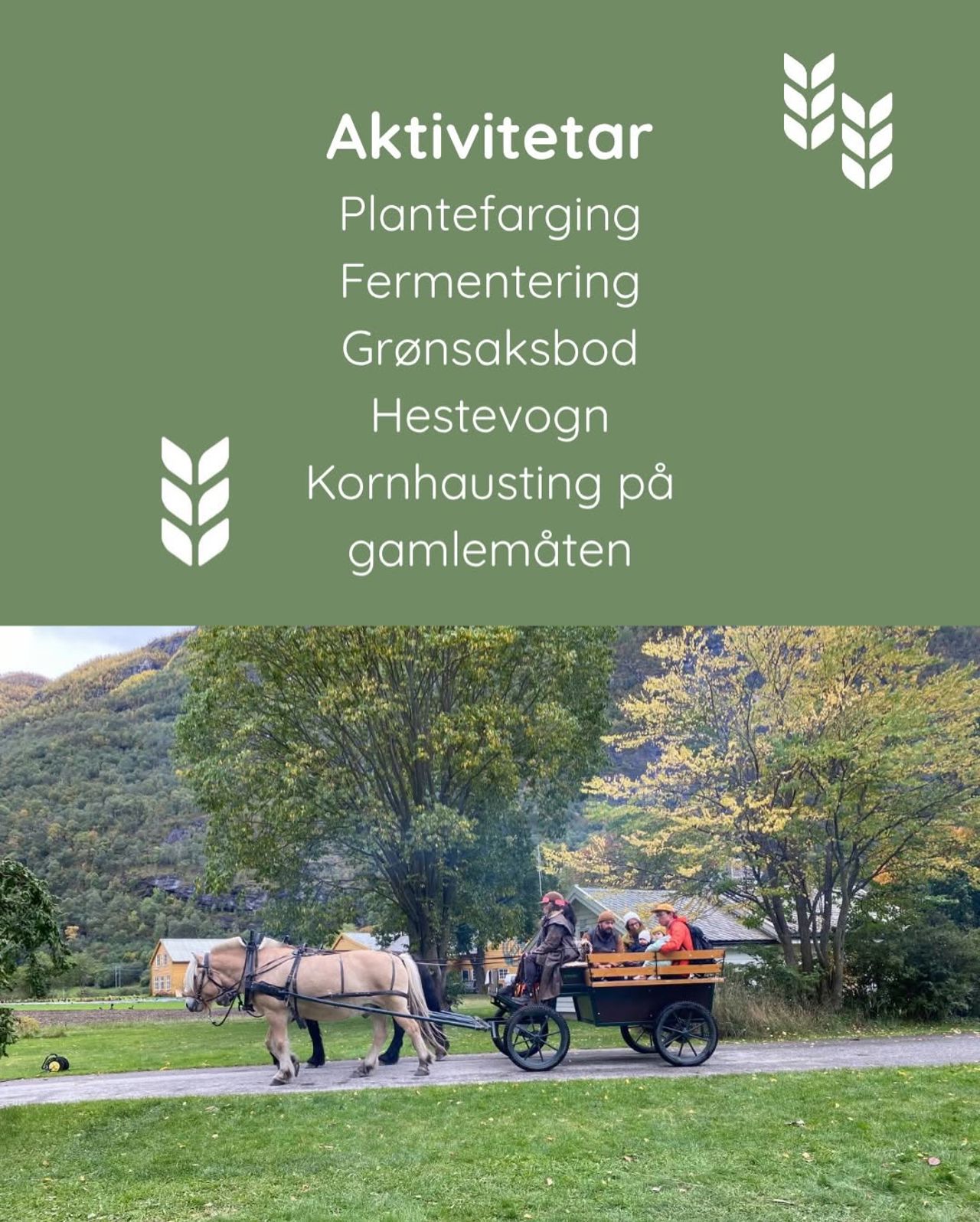 Aktivitetar og deltakarar under open økologisk gard og skule ved Sogn Jord- og Hagebruksskule.