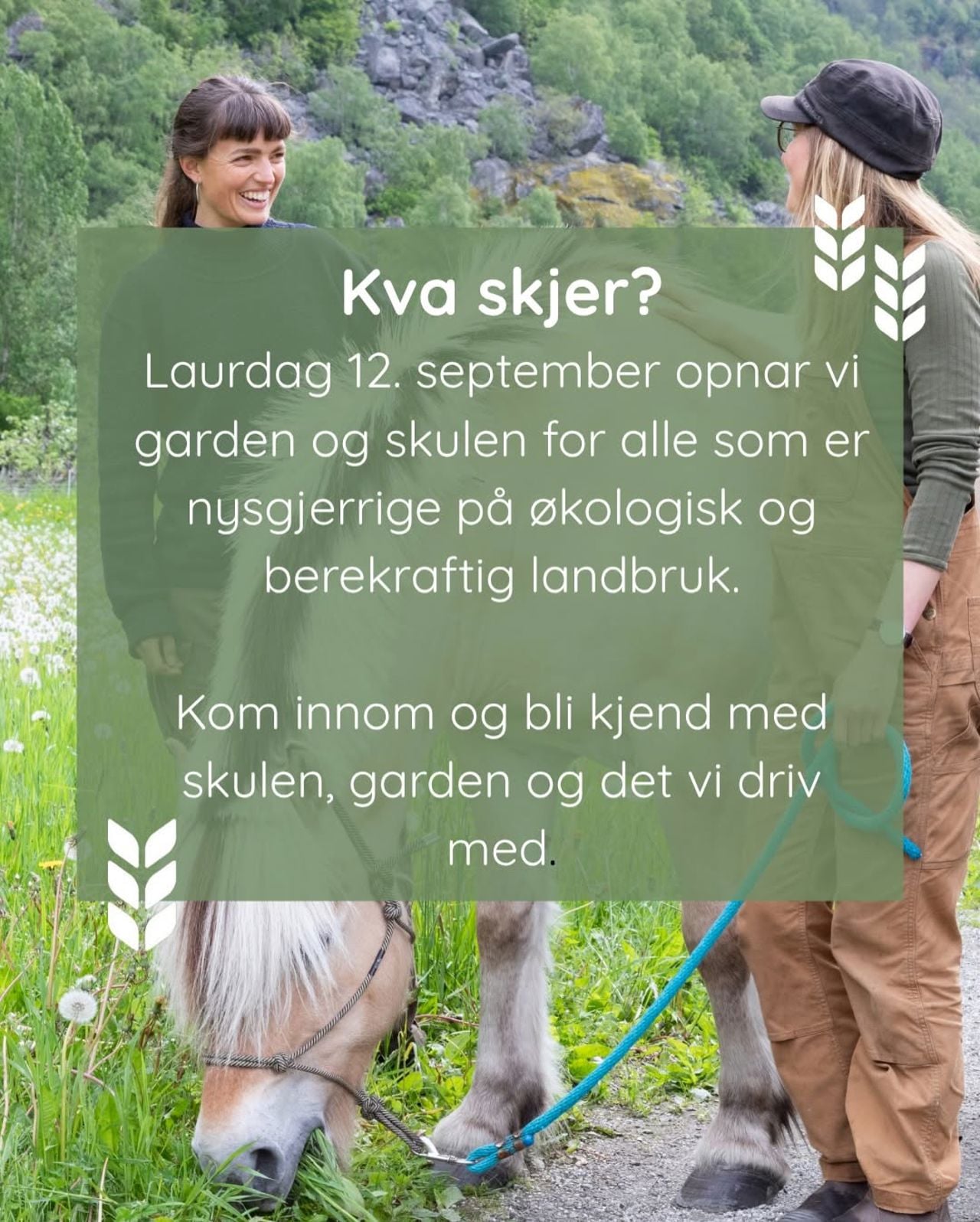 To elevar saman med ein hest ved Sogn Jord- og Hagebruksskule. Open økologisk gard og skule 12. september.
