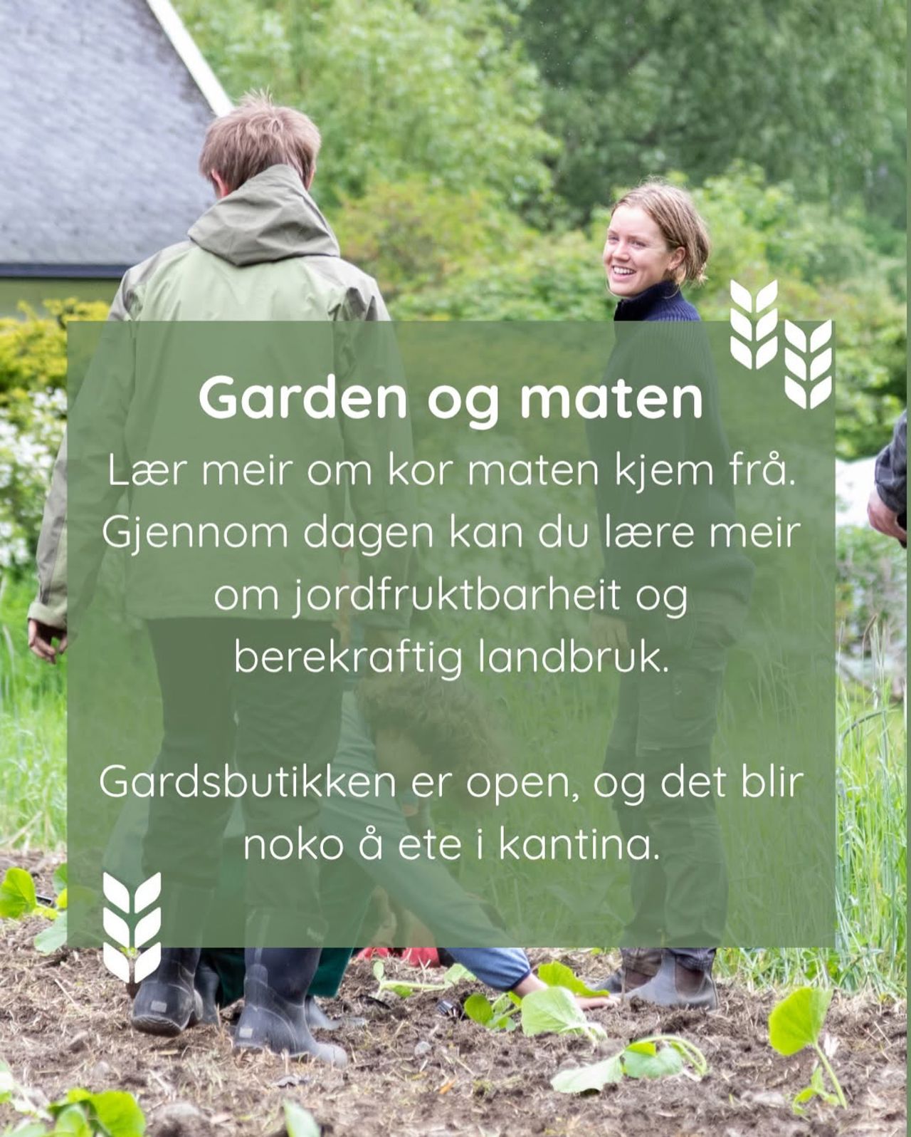 Sogn Jord- og Hagebruksskule med gard og lokale matvarer. Gardsbutikken er open under arrangementet.