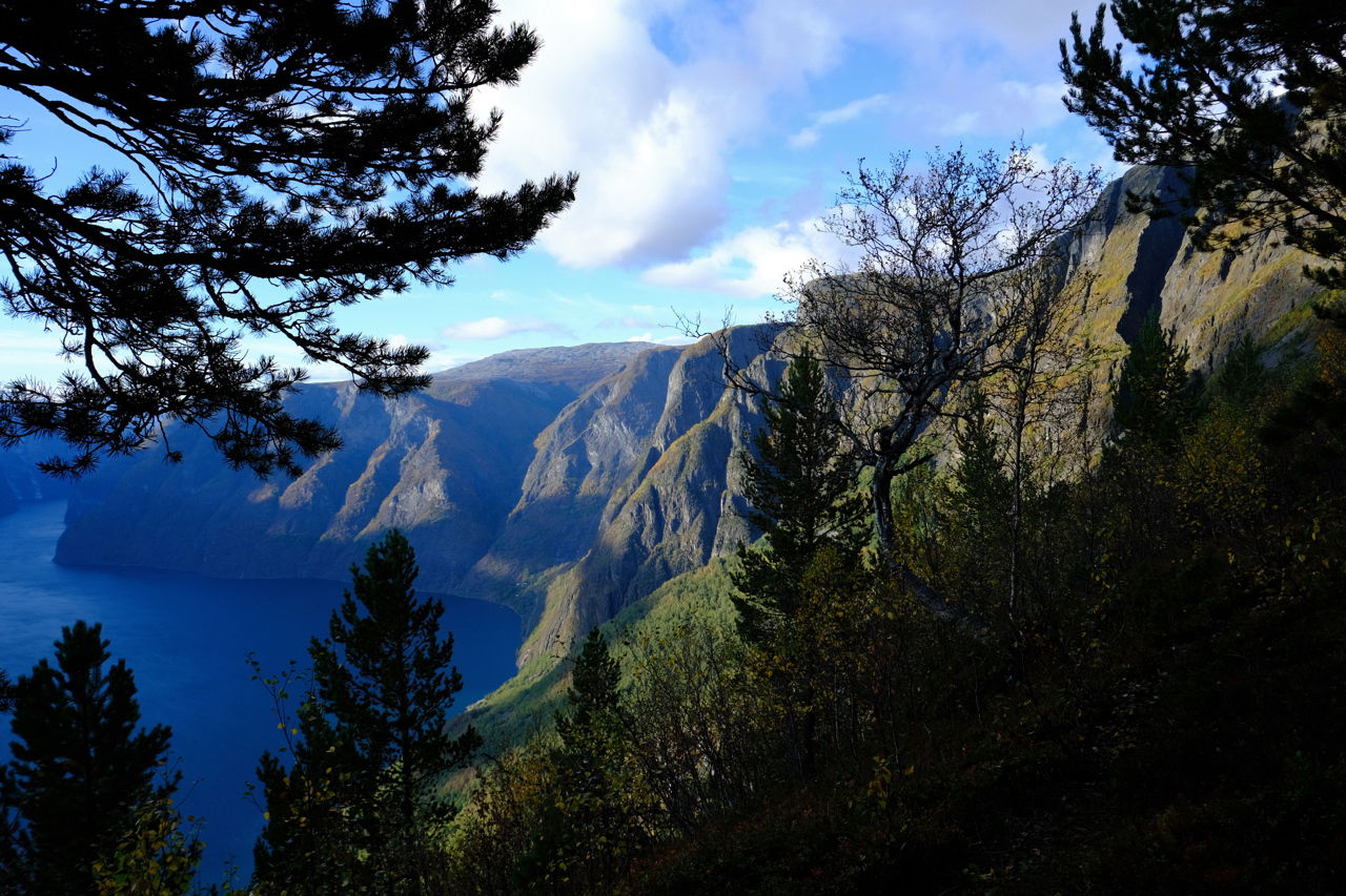 Utsikt frå skogen mot bratte fjell og blå fjord i Aurland; naturen framstår som ein leikeplass full av kontrastar og rom for utforsking.