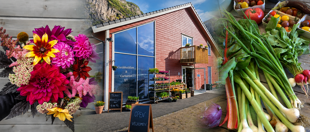 Hofladen der Sogn Jord- og Hagebruksskule in Aurland mit Gewächshaus und Bio-Produkten