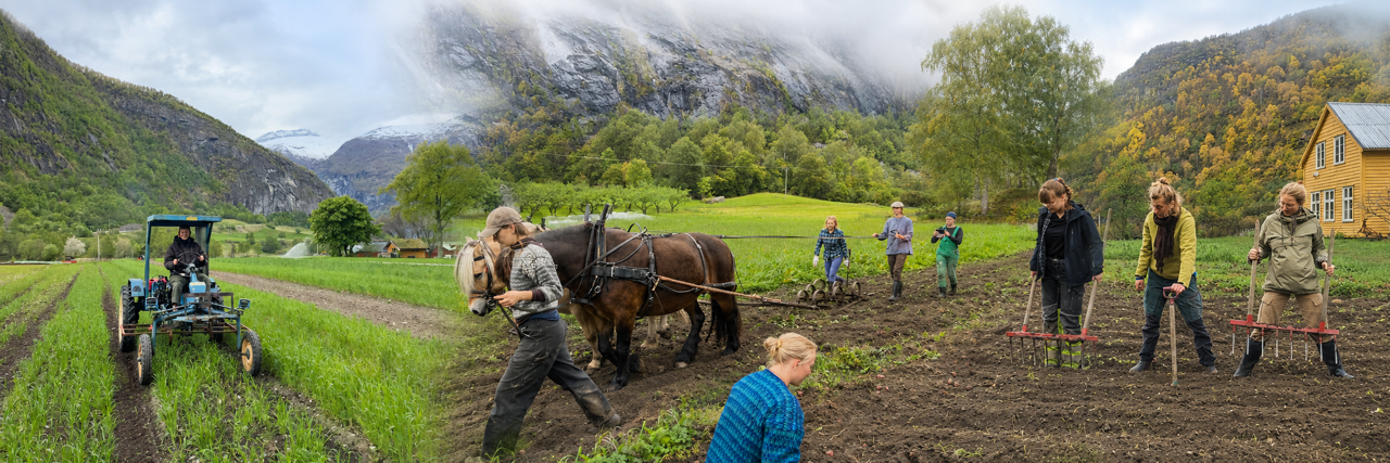 Elevar på Vg2 naturbruk arbeider praktisk med traktor, hest og handreiskap i økologisk landbruk.