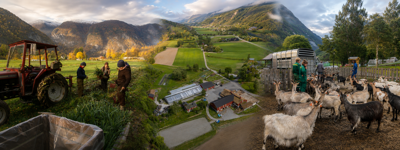 Skulegarden ved Sogn Jord- og Hagebruksskule med praktisk arbeid i grønsaksfelt, husdyrhald og økologisk landbruk i Aurland.