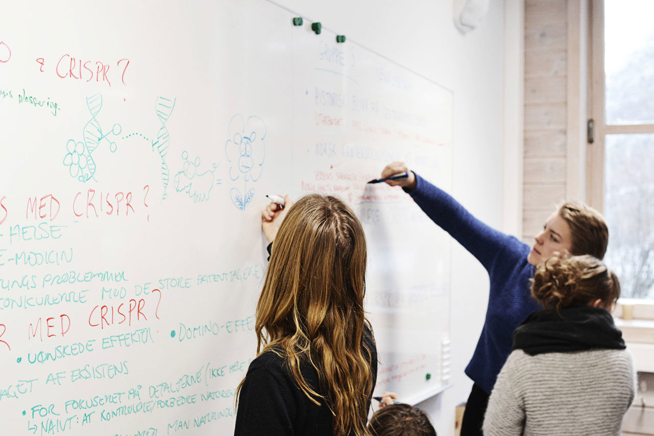 Deltakarar  ved Ressurssenteret på Sogn Jord- og Hagebruksskule lærer om økologisk landbruk, birøkt, grønsaksdyrking, ysting og småskalaproduksjon.