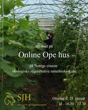 Elev arbeider i drivhus ved Sogn jord- og hagebruksskule, ei vidaregåande skule med økologisk og regenerativt naturbruk.